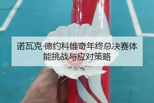 诺瓦克·德约科维奇年终总决赛体能挑战与应对策略